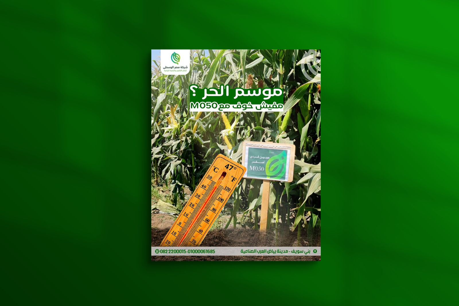 شركة مصر الوسطى لإنتاج البذور والمحاصيل الزراعية