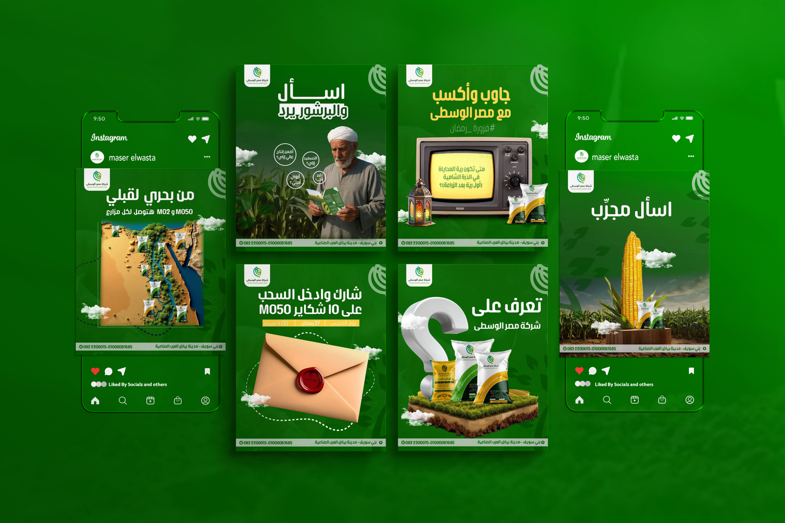 شركة مصر الوسطى لإنتاج البذور والمحاصيل الزراعية